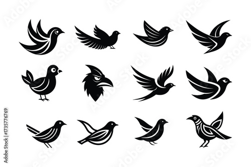 Bird Logo Set Bundle | Creative Vector Collection