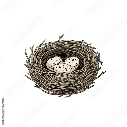 A beautifully crafted bird nest holding three speckled eggs within its woven branches.