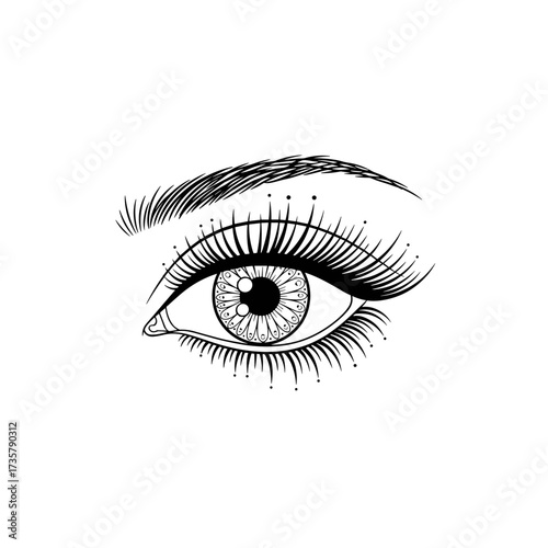 Detailed line art illustration of a human eye with long eyelashes and defined eyebrows and iris.