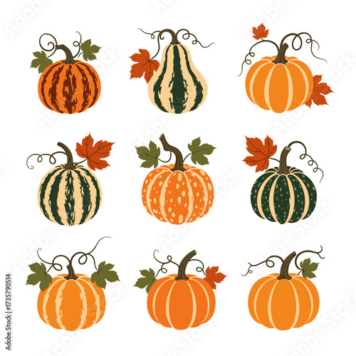 A collection of nine assorted pumpkins and gourds perfect for seasonal decoration.