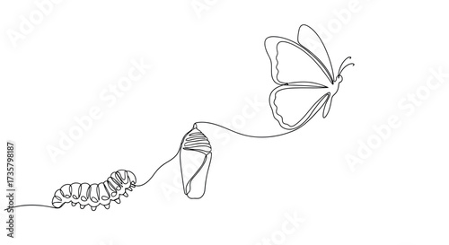 Continuous line drawing of a caterpillar chrysalis and butterfly simple vector illustration of metam