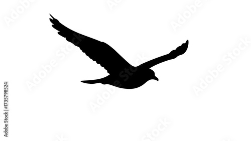 Silhouette of a bird in flight, wings spread wide, captured against a white background.