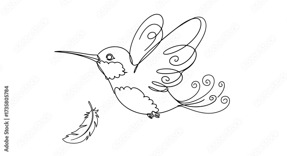 Fototapeta premium Hummingbird line art illustration simple vector drawing of a bird in flight isolated on white backgr