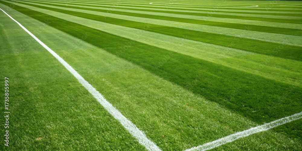 Obraz premium Football ground