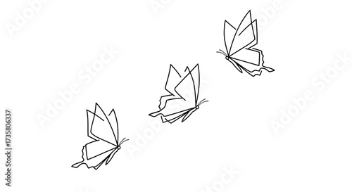 Three butterflies in flight simple line drawing vector illustration for nature concept