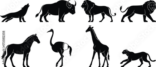 Wild animals silhouette collection, African safari wildlife illustration, jungle nature animal set, exotic creatures vector, black animal shadows, wildlife design elements