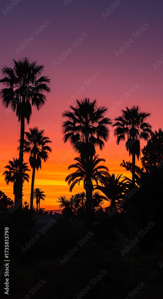 Obraz premium Sunset Silhouette Serenade