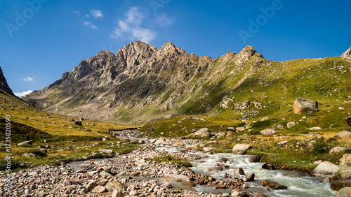 summer in the mountains. a beautiful mountain gorge