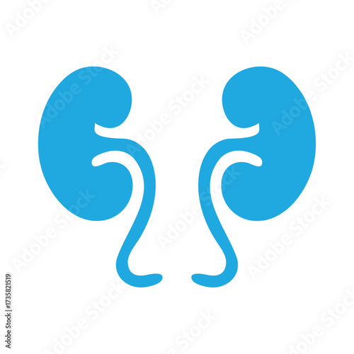"Vector illustration of human kidneys icon in blue color. Simple flat design representing anatomy, healthcare, nephrology, medical science, and organ system."