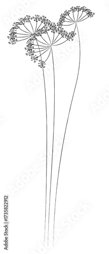 A plant of meadows and fields. A sketch of grass with a black outline and a simple design.