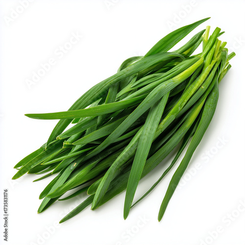 fresh Chinese chive leaves on white background