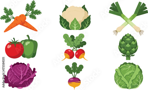 Fresh vegetables vector illustration healthy food ingredients