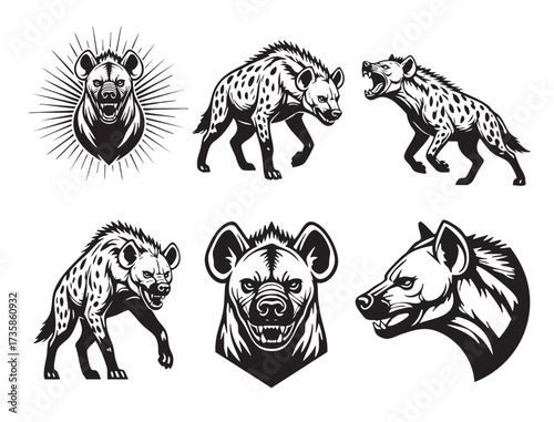 Set of fierce hyena illustrations in various poses and headshots, capturing their wild and aggressive nature. Wild Animals.