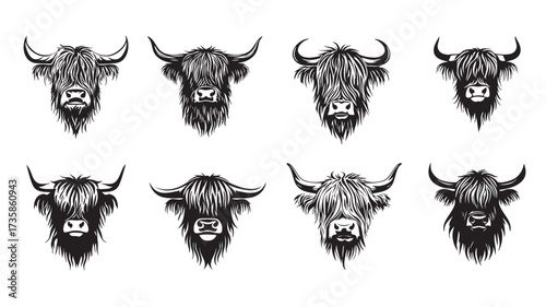 Collection of rugged Highland cow head logos and mascots featuring signature long hair and horns in a stencil style. Wild Animals.