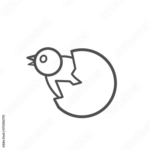 a chick that has just hatched from its egg without a background