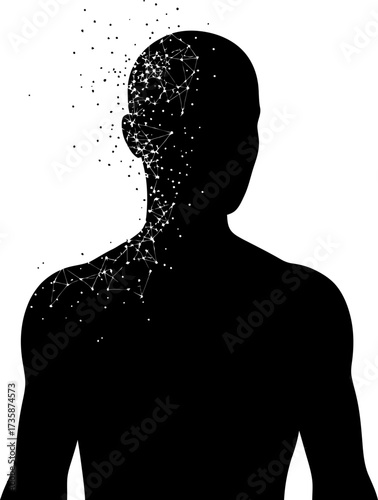 cognition unfolds, the self transcending into pure informational patterns