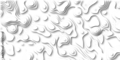 Clean White Abstract Topographic Paper Cutout Background with Soft Shadows and Organic Layering Keywords: abstract, background, topographic, paper cutout, layered, white, clean, minimalist, organic