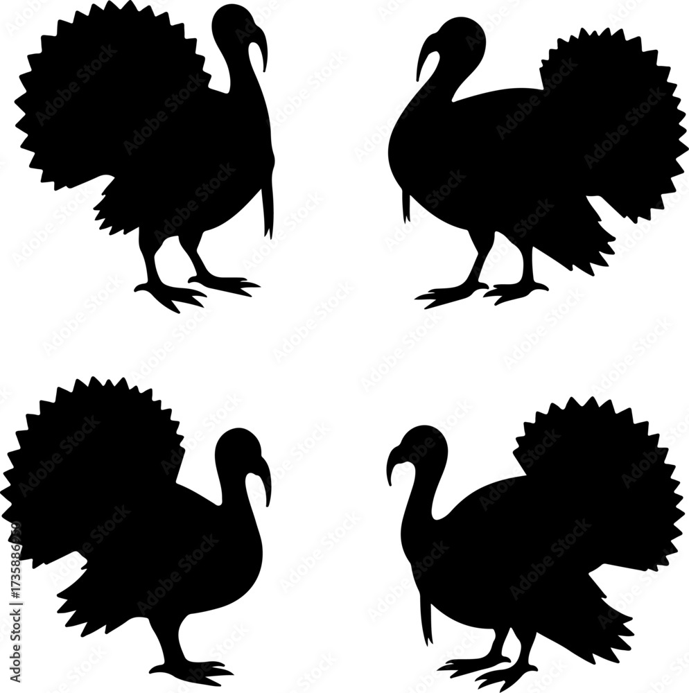 Obraz premium Turkey Silhouette Collection 