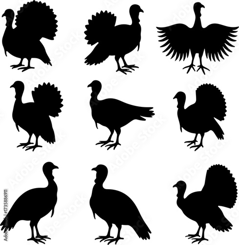 Turkey Silhouette Collection 