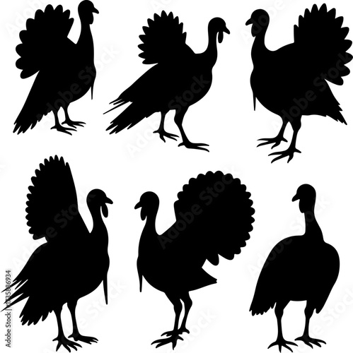 Turkey Silhouette Collection 
