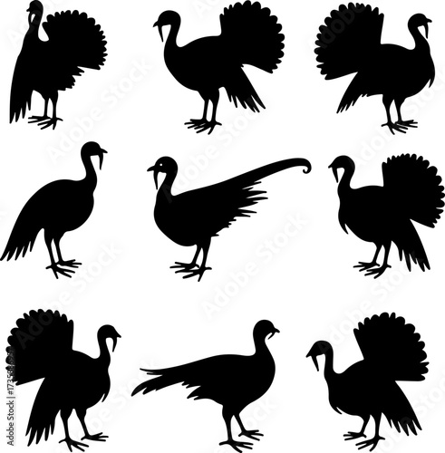 Turkey Silhouette Collection 