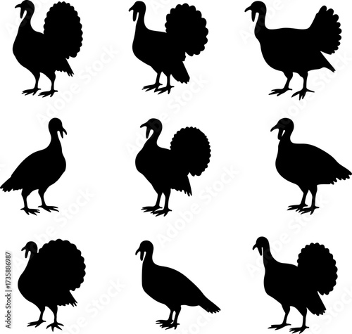 Turkey Silhouette Collection 