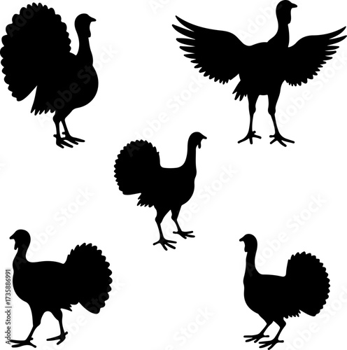 Turkey Silhouette Collection 