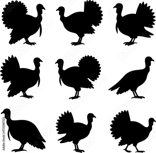 Turkey Silhouette Collection 