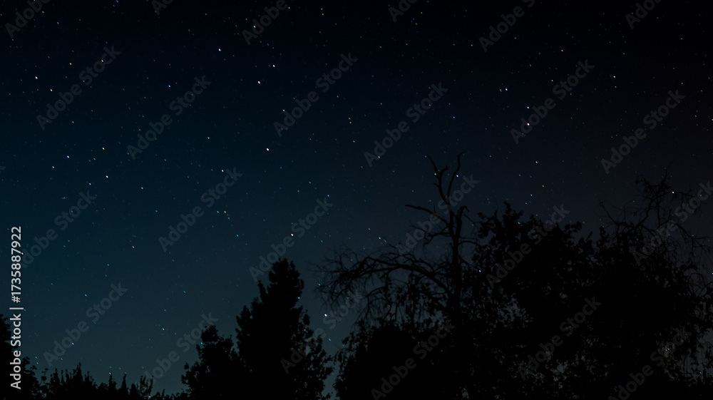 Fototapeta premium starry night sky