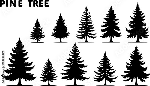 Set of Pine Tree Silhouette Vectors Bundle