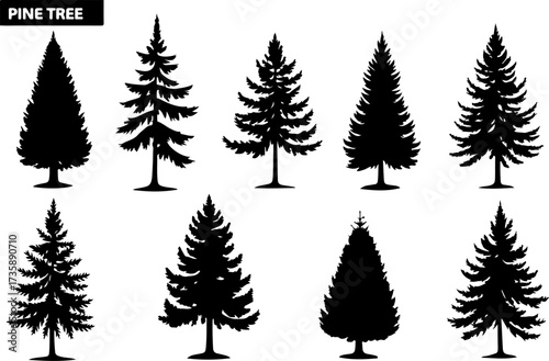 Set of Pine Tree Silhouette Vectors Bundle