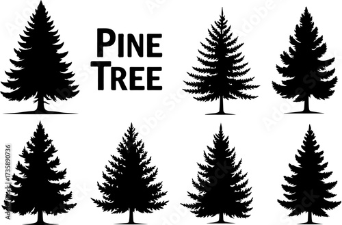 Set of Pine Tree Silhouette Vectors Bundle
