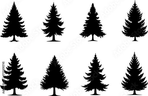 Set of Pine Tree Silhouette Vectors Bundle