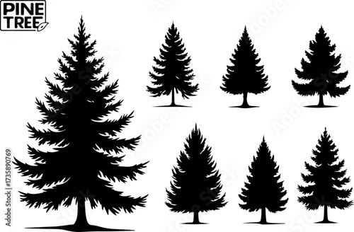 Set of Pine Tree Silhouette Vectors Bundle