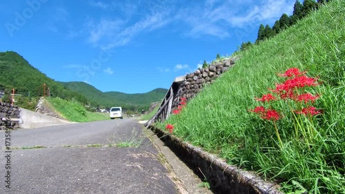 road to the mountain