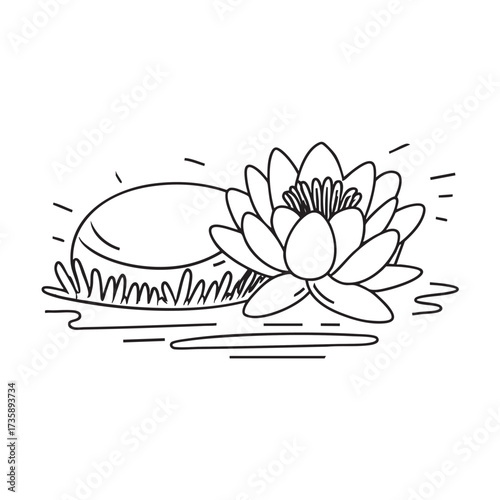 A water lily beside a stone with moss growing around it
