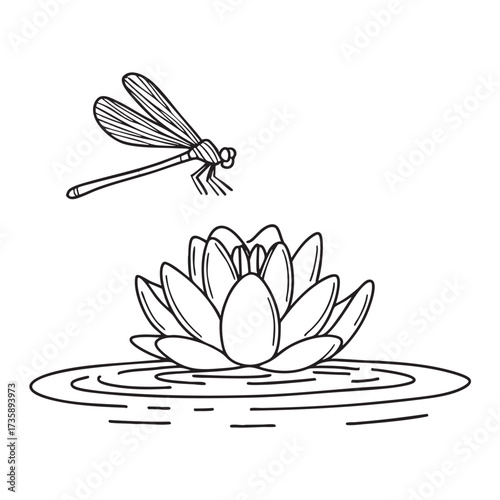 A water lily close to a dragonfly hovering above the surface