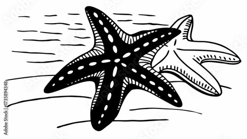 Two starfish on the ocean floor one black with white spots and one white outline with black lines created with generated ai 