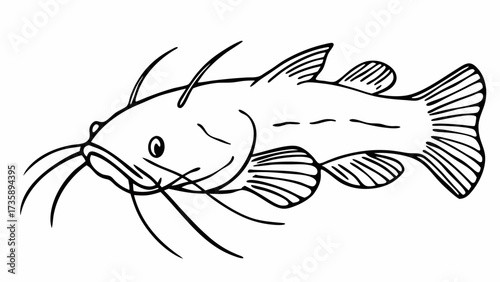 Illustration of a catfish with whiskers and fins in a simple black and white line drawing style image created with generated ai 