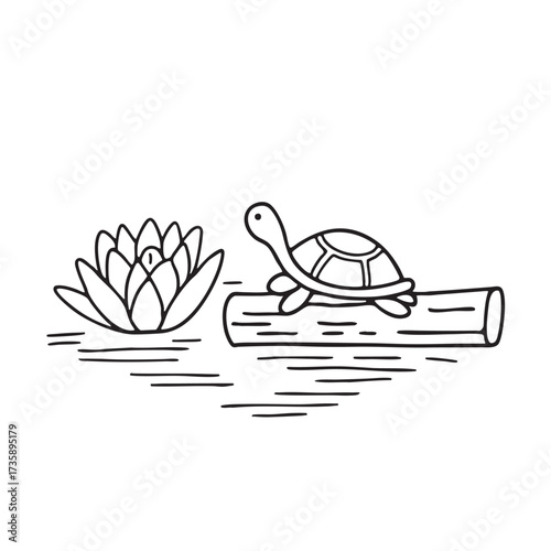 A water lily drifting close to a turtle basking on a log