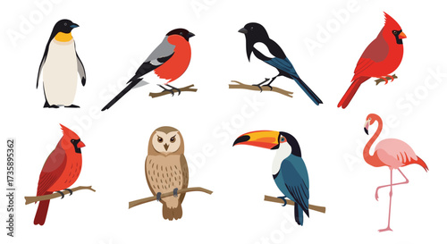 A collection of diverse avian species perched on branches for observation.