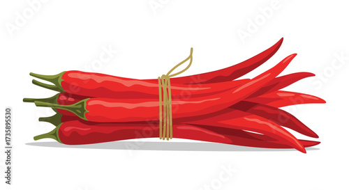 A bunch of ripe red chili peppers tied together with twine.