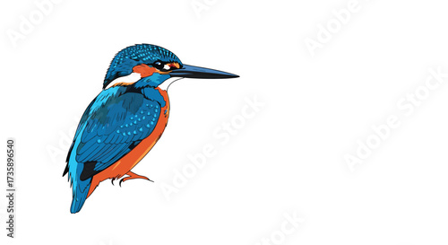 A vibrantly colored kingfisher perched on a branch looking towards the right.