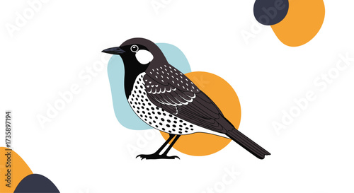 An illustrative depiction of a spotted bird with colorful circles.