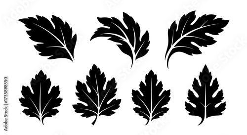 A set of seven black leaf silhouettes. Stylized vector graphics for creating elegant ornaments, classic branding, floral logos, and botanical decorations.