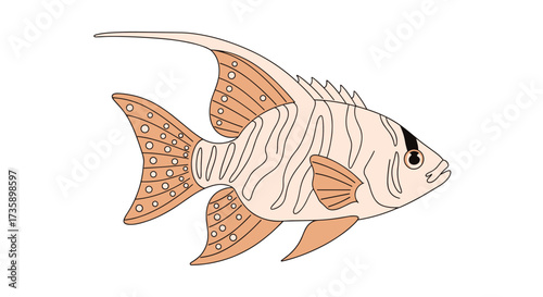 A delicate angelfish swims with flowing fins and patterned scales.