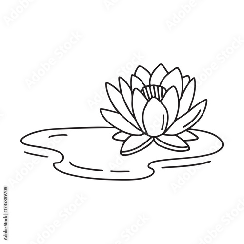 A water lily beside a patch of algae spreading across the water