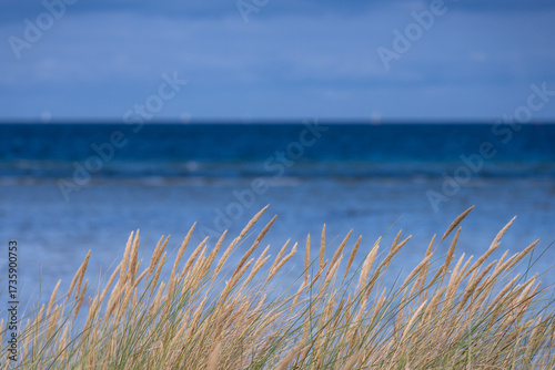 Fototapeta Naklejka Na Ścianę i Meble -  The Baltic Sea coast. Northern Europe.