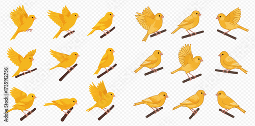 A collection of yellow canary birds perched on branches in various poses.