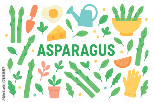 Asparagus and gardening essentials with vegetables and tools in playful illustration